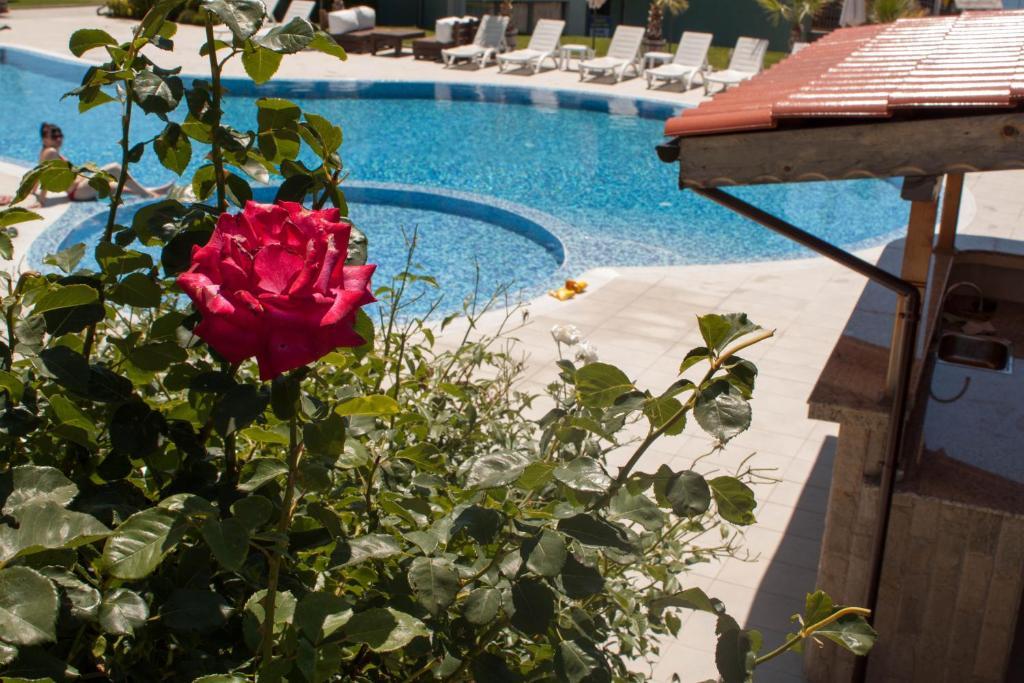 Gardenia Vacation Settlement Aparthotel Sozopol Buitenkant foto
